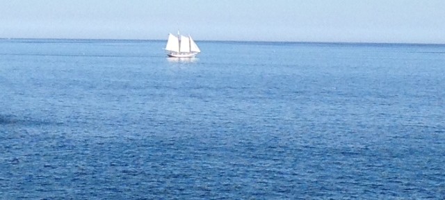 schooner Ardell, Gloucester MA neversaydiebeauty.com @redAllison