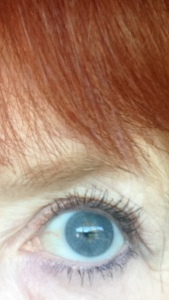 L'Oreal Voluminous Butterfly Intenza Mascara