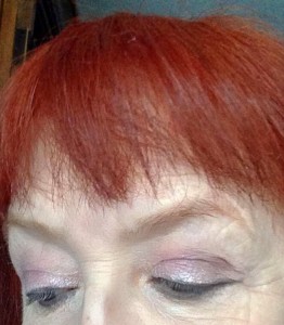Maybelline eye shadow, Rose Riot and Leather