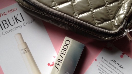 Shiseido IBUKI Eye Correcting Cream & metallic makeup bag neversaydiebeauty.com @redAllison