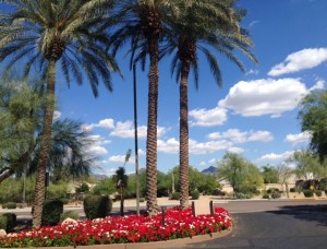 front entrance Sheraton Desert Oasis Villas, Scottsdale AZ neversaydiebeauty.com