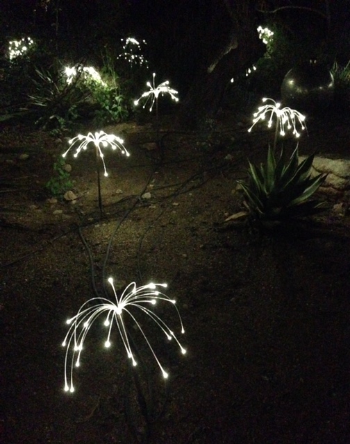 Bruce Munroe installation, Desert Botancal Gardens Scottsdale AZ, white lights like flowers
