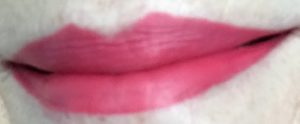 GloMinerals Pretty Persuasion Lipstick in shade Fixation, lip swatch, neversaydiebeauty.com