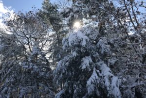 backyard snow 2017, neversaydiebeauty.com