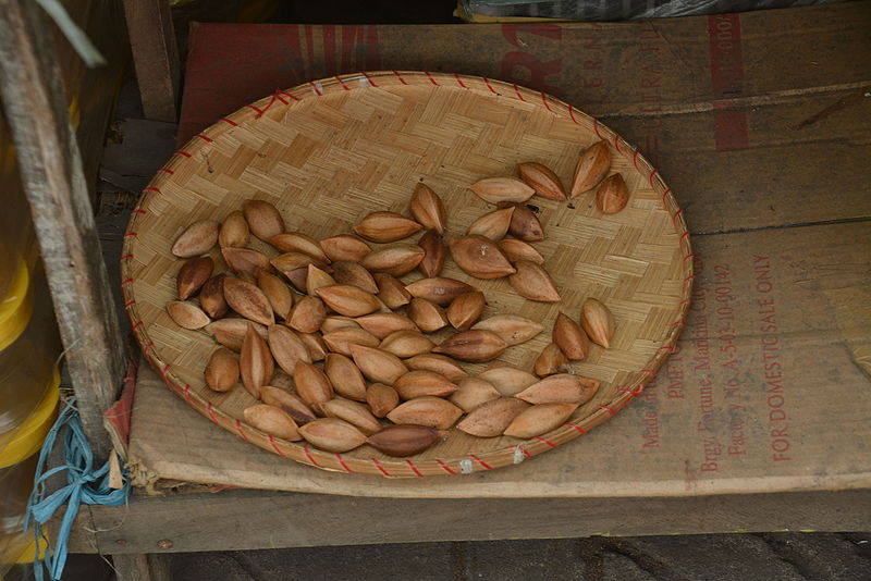 pili nuts in their shells