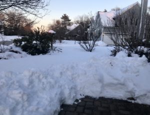 my snowy front yard looking east, neversaydiebeauty.com