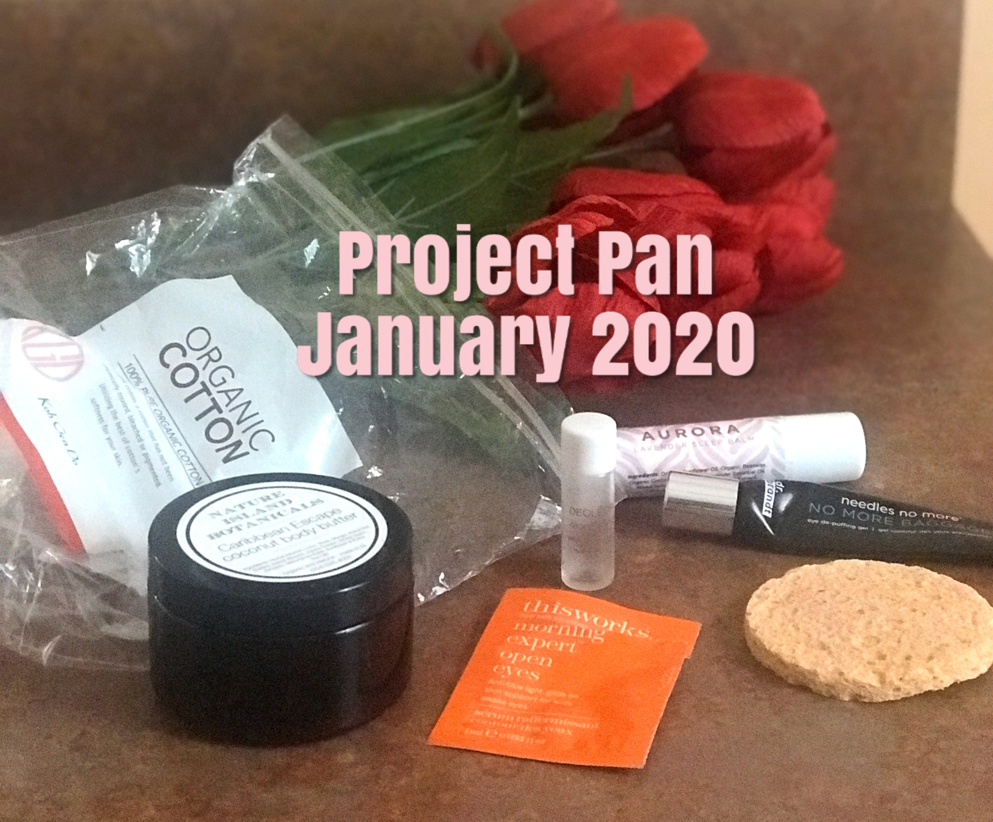 Project Pan January 2020 beauty empties